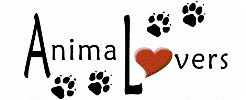 Animal Welfare League of the Greater Capital District